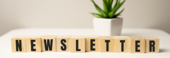ELECTROLIFE Newsletter #2
